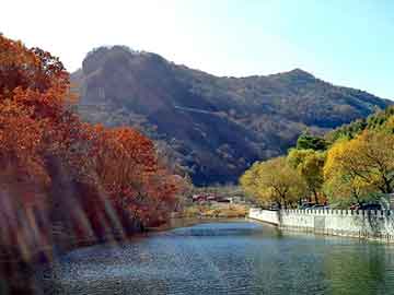 新澳天天开奖资料大全旅游团，鉴宝栏目